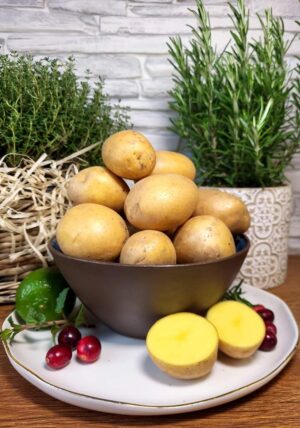 Ekologiczne młode ziemniaki - 5kg - worek